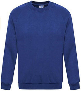 Mens Plain Fleece Lined Crew Neck Sweatshirt In Royal Blue