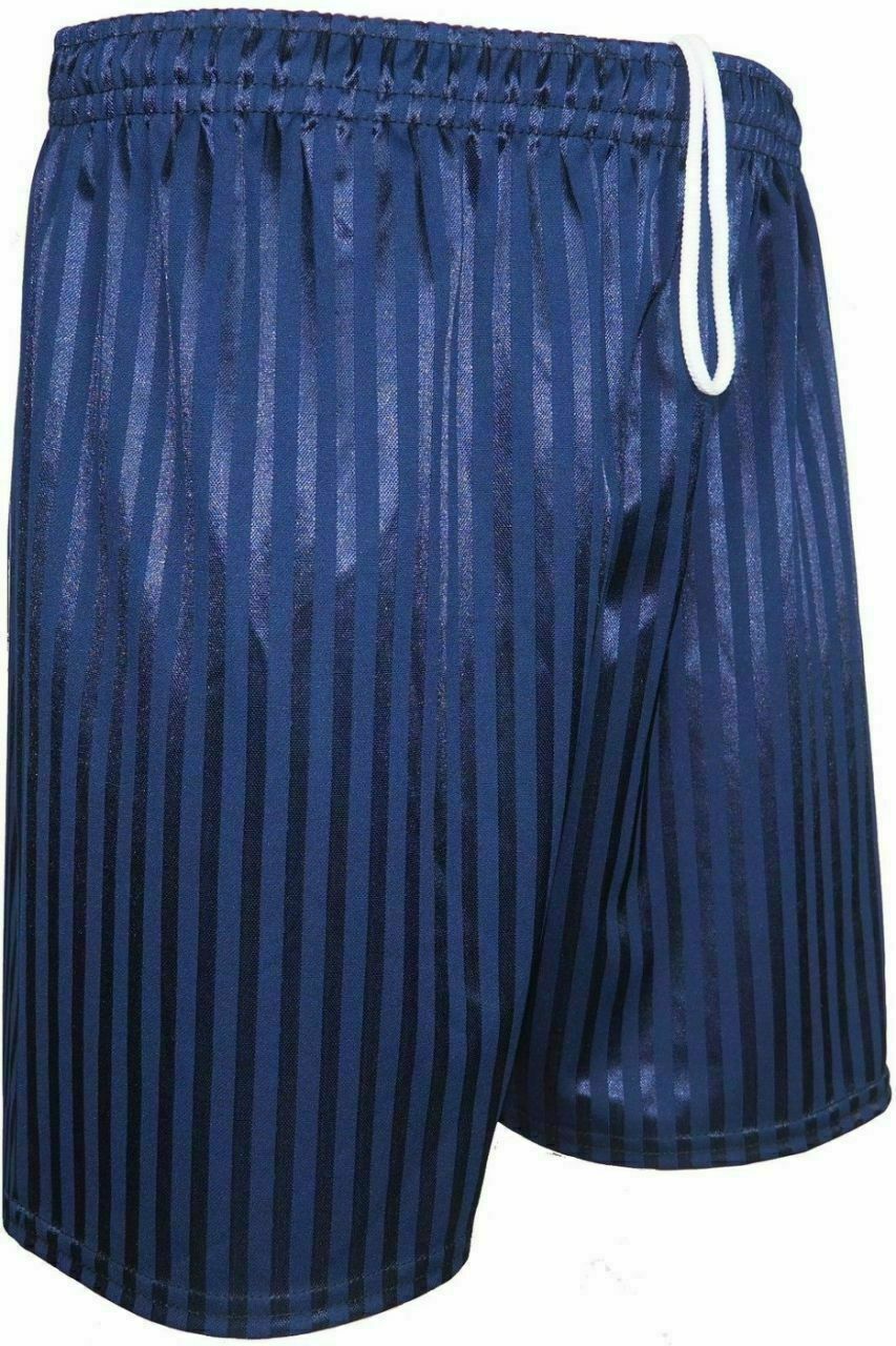 Mens Shadow Stripe Plain Shorts In Navy