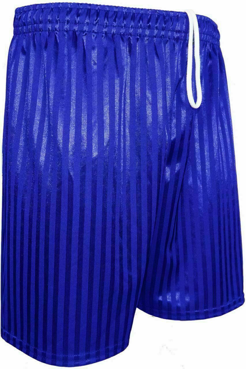 Mens Shadow Stripe Plain Shorts In Royal Blue